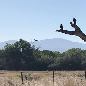 Meet your Posher, Tòmas